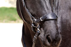 Komplet Bitless Bit hackamore - 3 dele