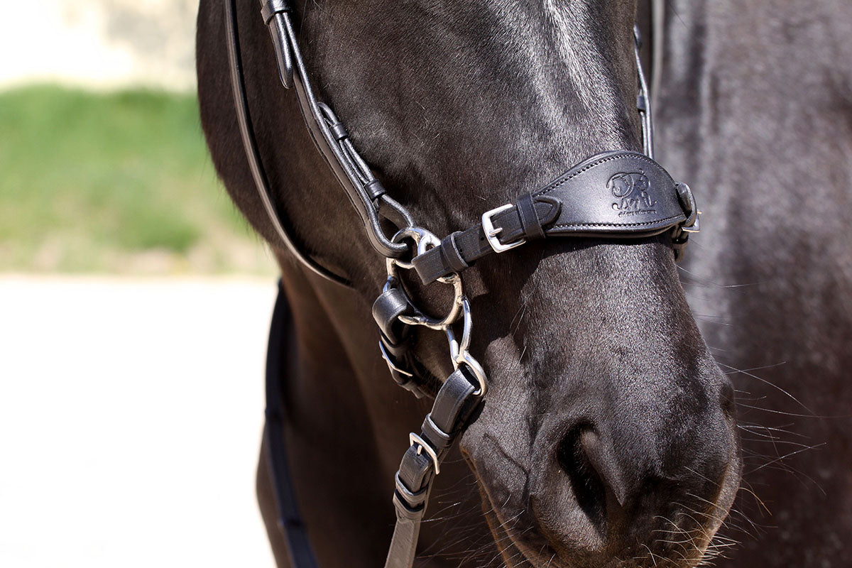 Komplet Bitless Bit hackamore - 3 dele