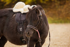 Pakke: Børne Ride on Pad & Fåreuldssæde