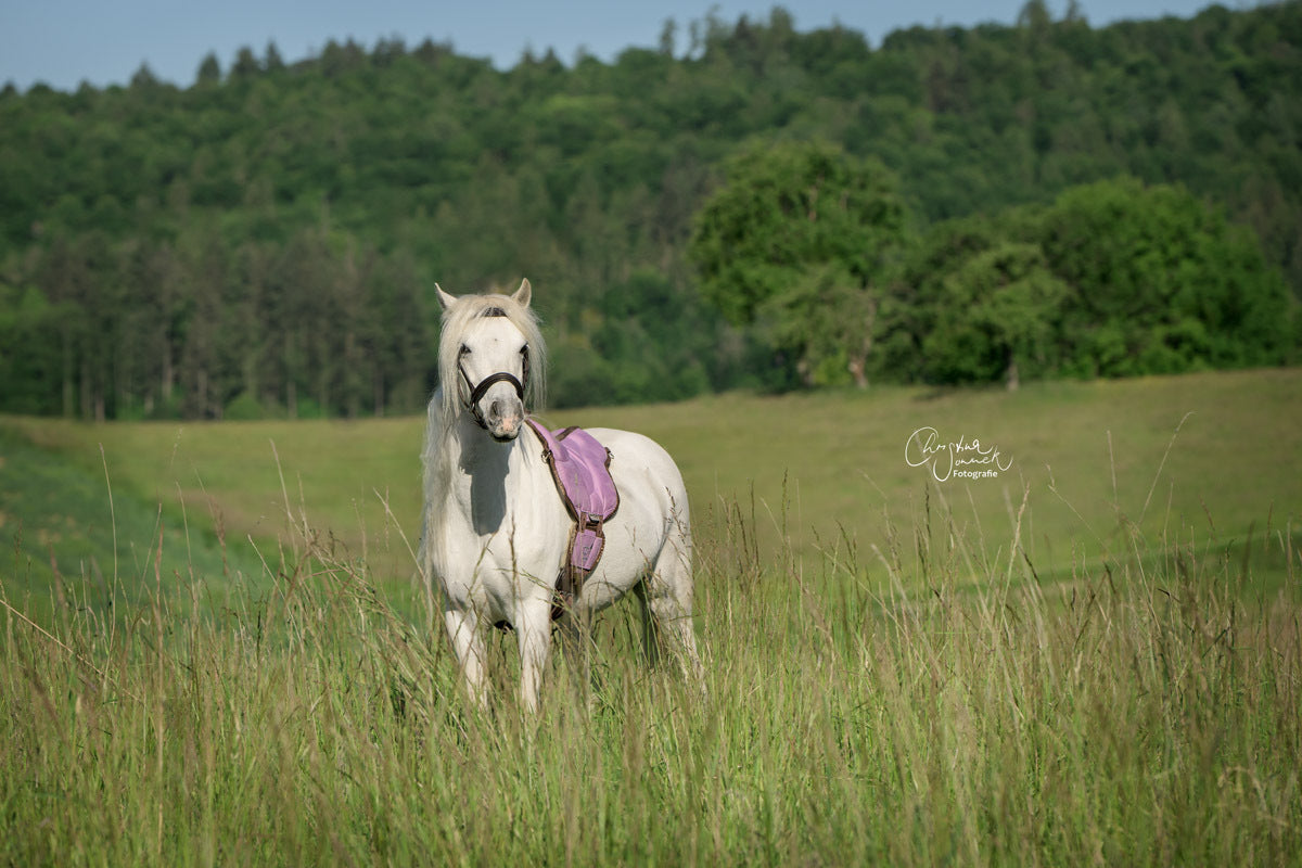 Limited Edition -Barefoot Pony Ride-on-pad