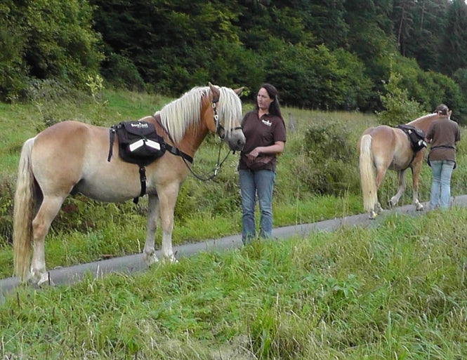 Walk-My-Horse “rygsæk”