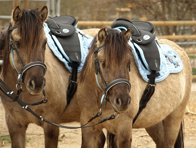 Barefoot Cheyenne Bellis PONY