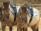 Barefoot Cheyenne Bellis PONY