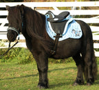 Barefoot Cheyenne Bellis PONY