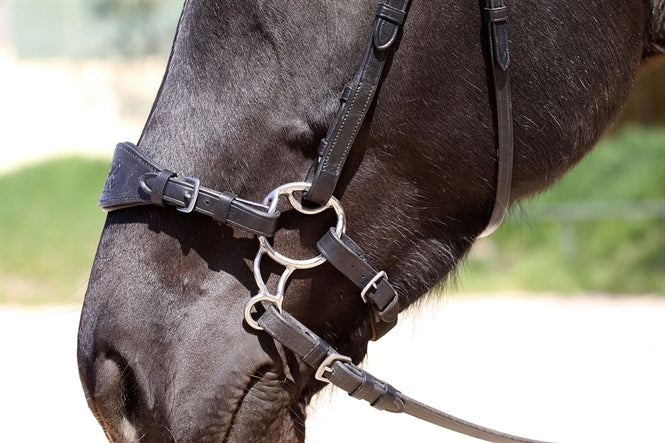 Barefoot® Bitless Bit