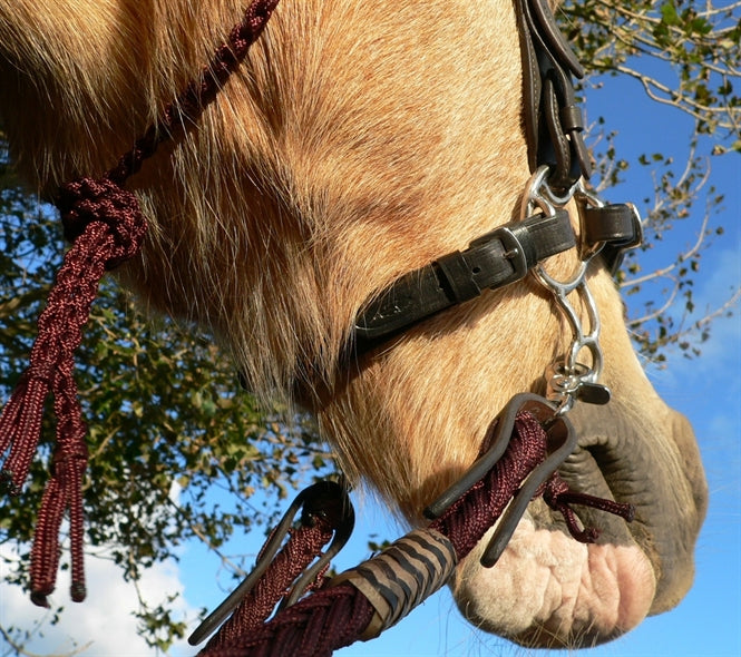 Barefoot® Bitless Bit