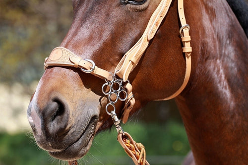 "Flower" / " Blomst" Hackamore