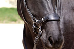 Barefoot® Bitless Bit