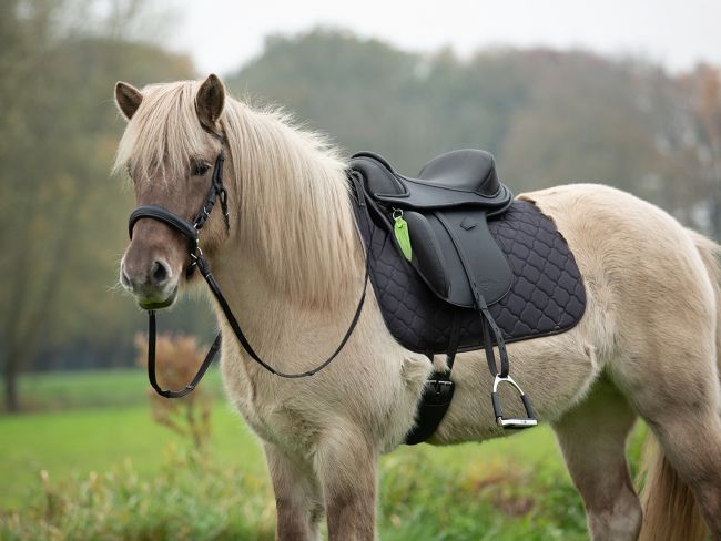 Vegansk trense og sadel fra barefoot-danmark vegitex