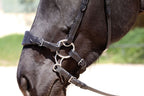 Komplet Bitless Bit hackamore - 3 dele
